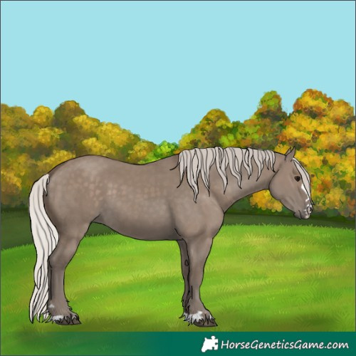 Horse Color:Silver Grullo  and Silver Grullo 