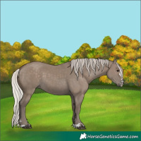 Horse Color:Silver Grullo  and Silver Grullo 