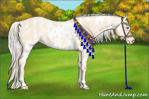 Horse Color:Cremello  and Cremello Appaloosa 