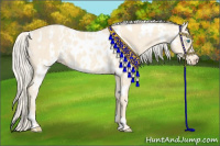 Horse Color:Cremello  and Cremello Near Leopard 