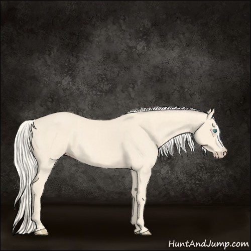 Horse Color:Cremello  and Cremello Splash 