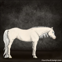 Horse Color:Cremello  and Cremello Splash 
