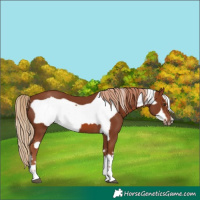 Horse Color:Chestnut  and Chestnut Frame 