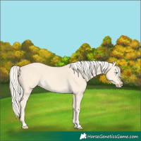 Horse Color:Cremello 
