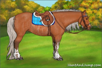 Horse Color:Silver Bay  and Silver Bay Rabicano 
