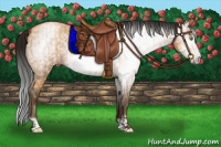 Horse Color:Gray Amber Champagne  and Gray Amber Champagne Frame 