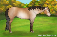 Horse Color:Gray Amber Champagne 