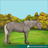 Horse Color:Silver Grullo  and Silver Grullo 
