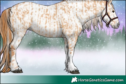Horse Color:Red Dun Tobiano and Gray Red Dun Tobiano