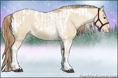 Horse Color:Red Dun Tobiano Appaloosa  and Red Dun Tobiano Appaloosa 