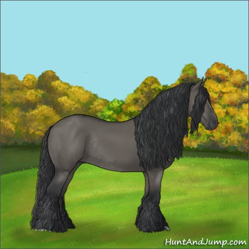 Horse Color:Grullo Rabicano 