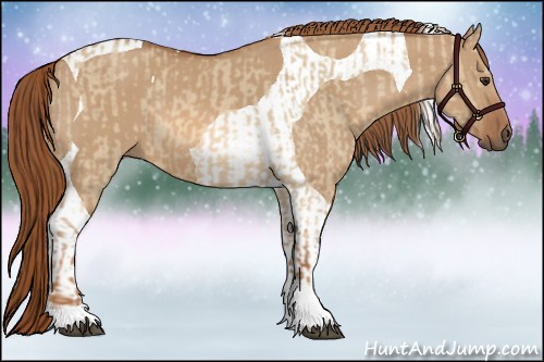 Horse Color:Red Dun Tobiano  and Red Dun Tobiano 
