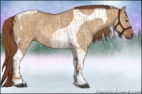 Horse Color:Red Dun Tobiano  and Red Dun Tobiano 