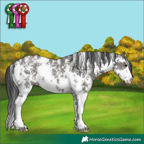 Horse Color:Grullo Sabino Rabicano 