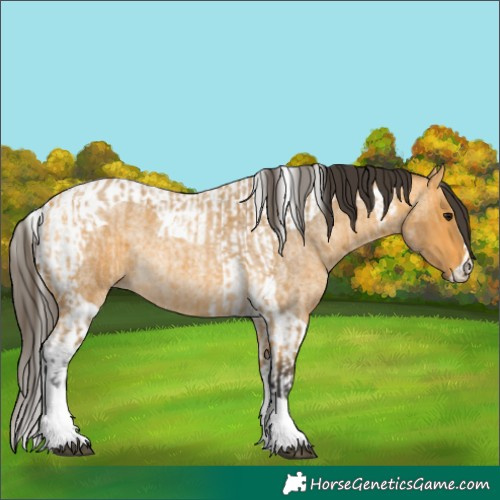 Horse Color:Buckskin Roan Tobiano  and Buckskin Roan Tobiano 