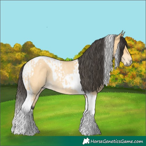 Horse Color:Buckskin Roan Tobiano Rabicano  and Buckskin Roan Tobiano Rabicano 