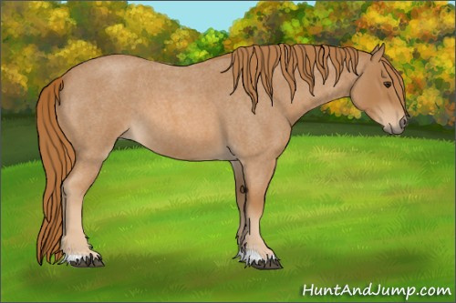 Horse Color:Red Roan Tobiano 