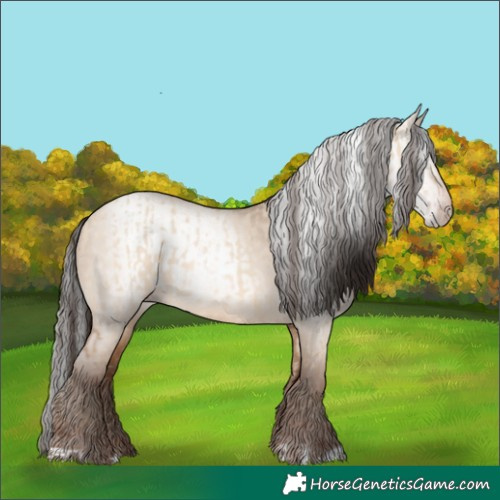 Horse Color:Amber Champagne Dun  and Gray Amber Champagne Dun 