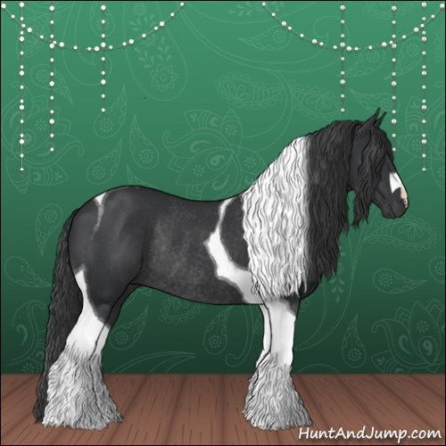 Horse Color:Black Tobiano Rabicano 