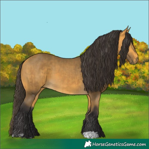 Horse Color:Buckskin  and Buckskin 