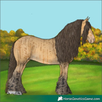 Horse Color:Buckskin  and Amber Cream Champagne 