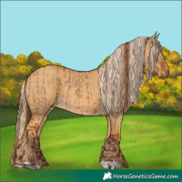 Horse Color:Red Dun  and Palomino Dun 