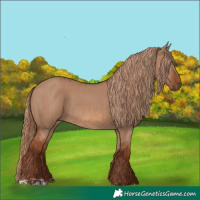 Horse Color:Red Dun  and Red Dun 
