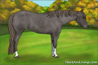 Horse Color:Smoky Black Tobiano Varnish 
