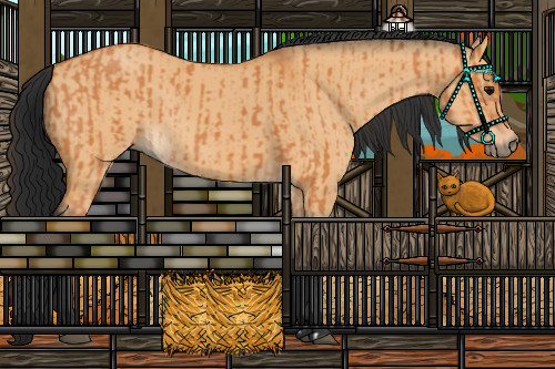 Horse Color:Bay  and Bay Dun 