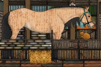 Horse Color:Bay  and Bay Dun 