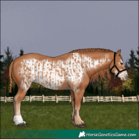 Horse Color:Chestnut  and Chestnut Frame 