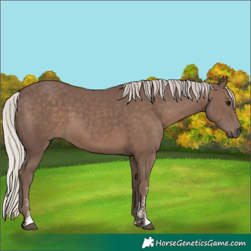 Horse Color:Silver Black Sabino 