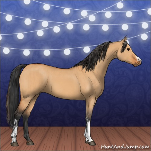 Horse Color:Bay Dun  and Bay Dun 
