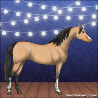 Horse Color:Bay Dun and Bay Dun