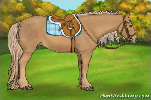 Horse Color:Chestnut  and Chestnut 