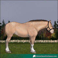 Horse Color:Amber Champagne  and Amber Champagne 