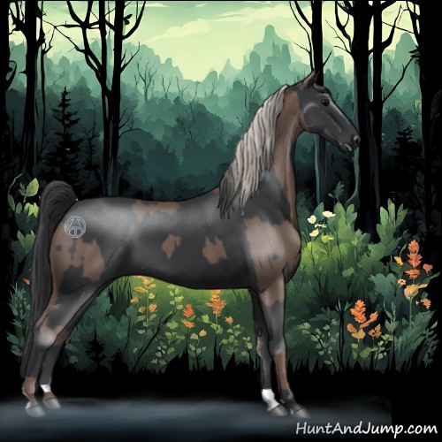 Horse Color:Silver Black  and Black 