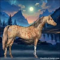 Horse Color:Bay  and Chocolate Palomino Dun 