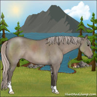 Horse Color:Silver Grullo Roan Sabino 