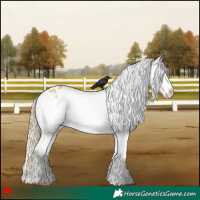 Horse Color:Red Dun Varnish