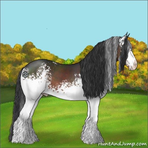 Horse Color:White Spotted Brown 