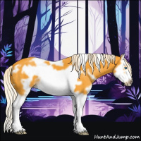 Horse Color:White Spotted Palomino Splash Frame 