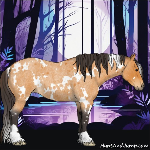 Horse Color:White Spotted Buckskin Roan Rabicano 