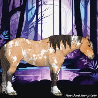 Horse Color:White Spotted Buckskin Roan Rabicano 