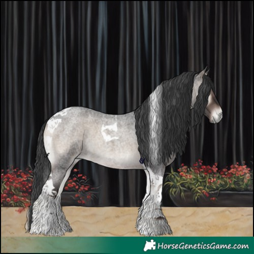 Horse Color:Blue Onyx Roan Tobiano 