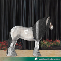 Horse Color:Blue Onyx Roan Tobiano 