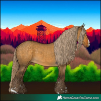 Horse Color:Chocolate Palomino Dun 
