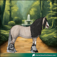 Horse Color:Liver Red Dun Roan Splash Rabicano 