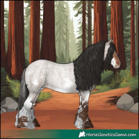 Horse Color:Liver Red Dun Roan Splash Frame Rabicano 