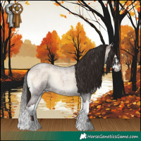 Horse Color:Liver Red Onyx Roan Splash 